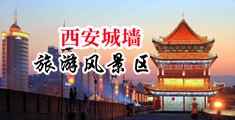 女子抽插aaa免费看中国陕西-西安城墙旅游风景区